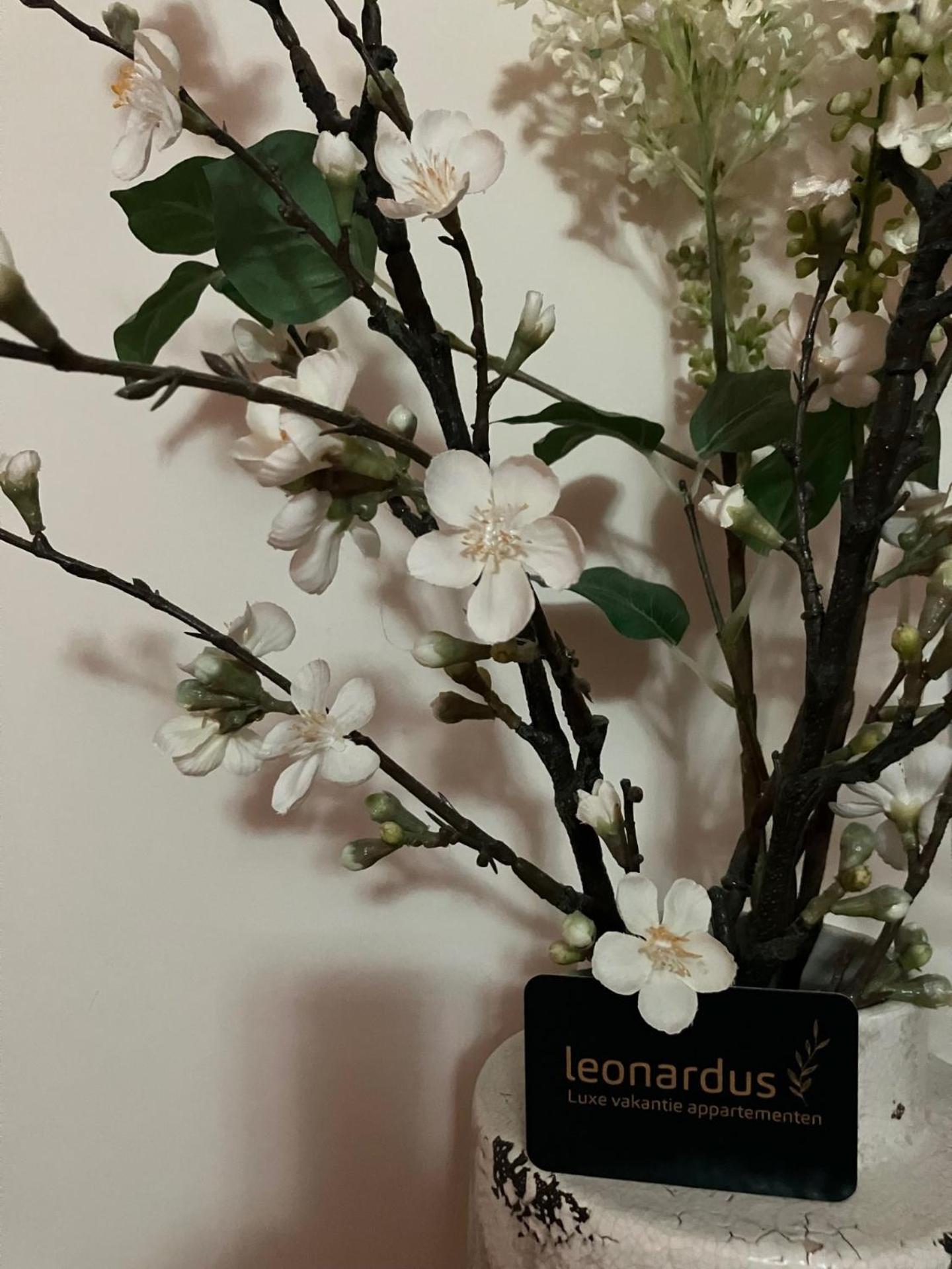 Luxe Appartementen Leonardus Valkenburg aan de Geul ภายนอก รูปภาพ